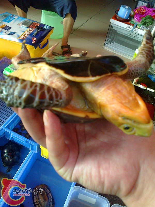 20131015799_副本.jpg