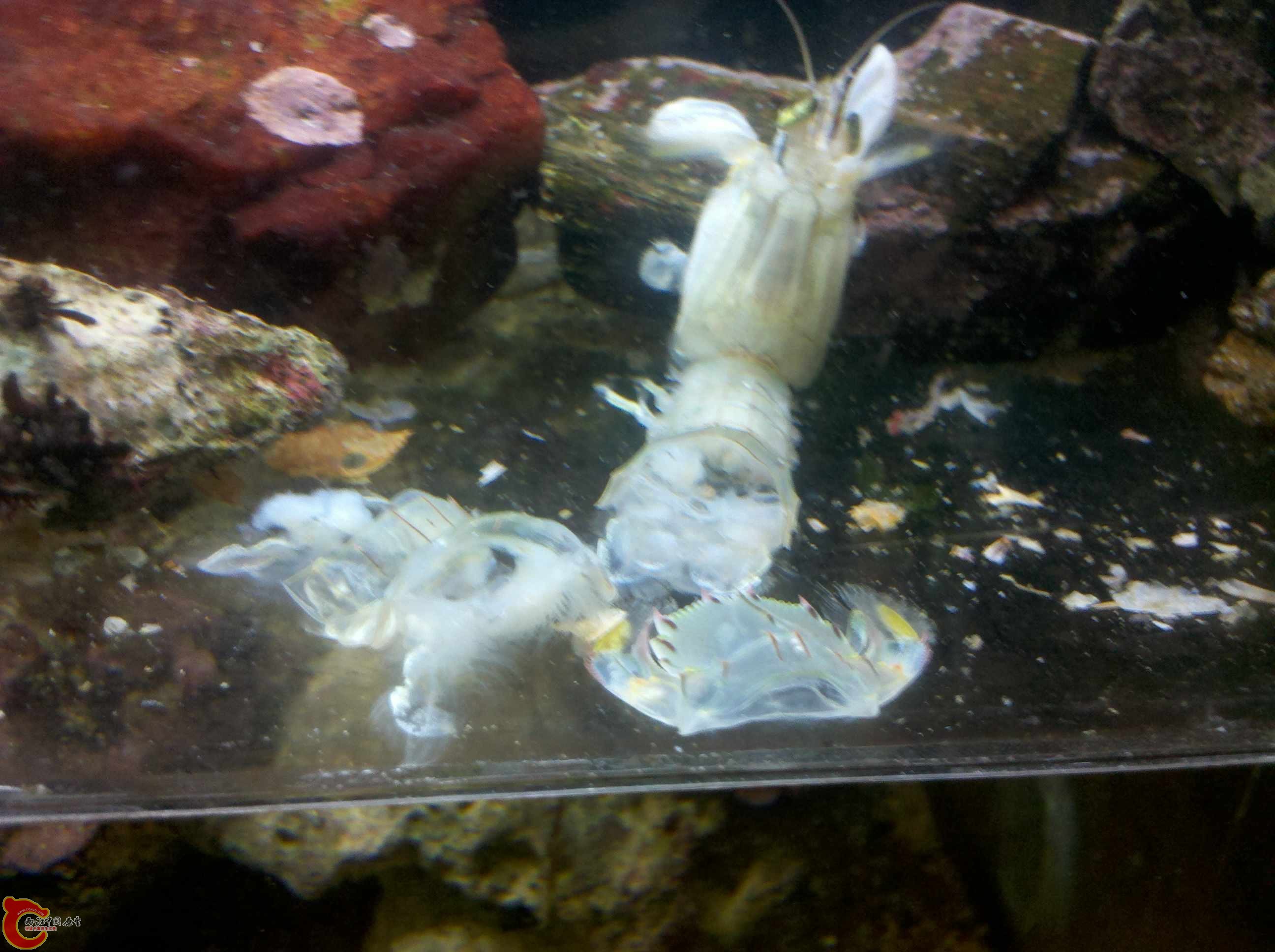 IMG_20131017_064739.jpg