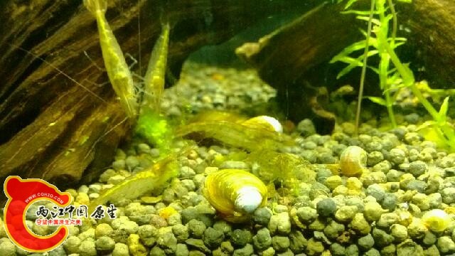 IMG_20131018_163913.jpg