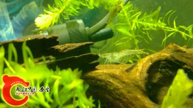 IMG_20131018_163303.jpg