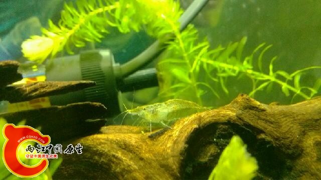 IMG_20131018_163203.jpg