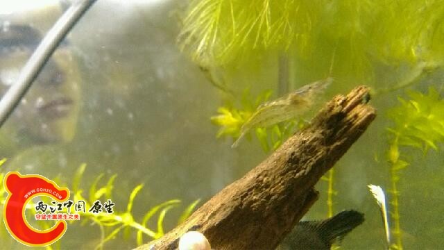 IMG_20131018_163129.jpg