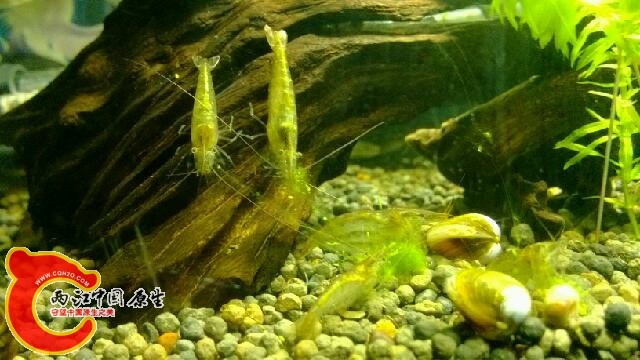 IMG_20131018_163106.jpg