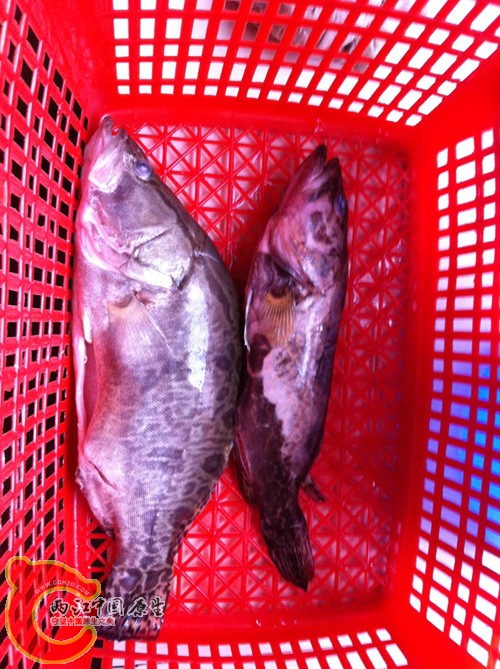 20131019115411943.JPG