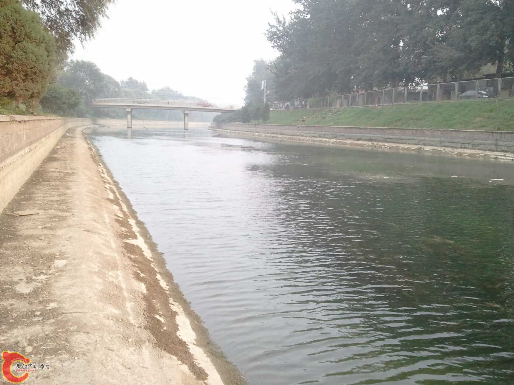 啥都有的水渠 (3).jpg