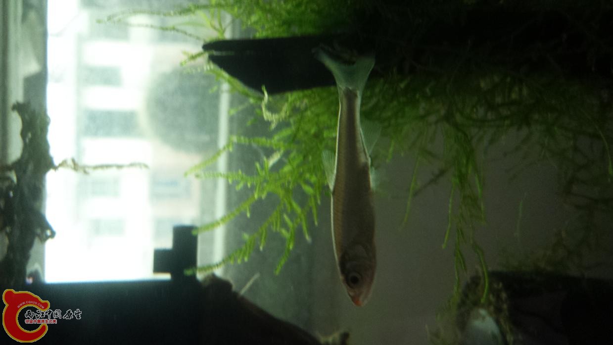 20131020_162634.jpg