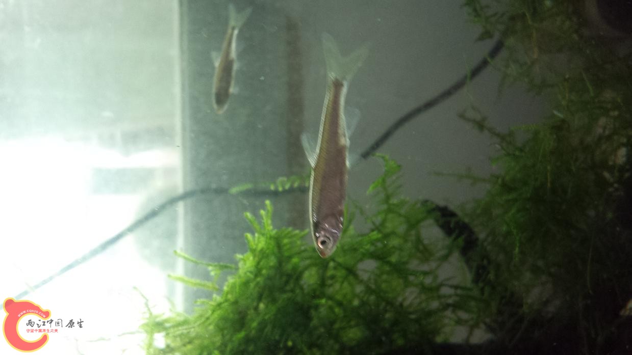 20131020_162517.jpg