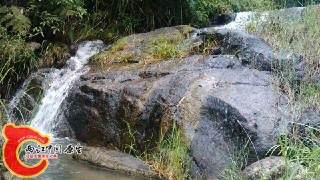 IMG_20131020_164155.jpg