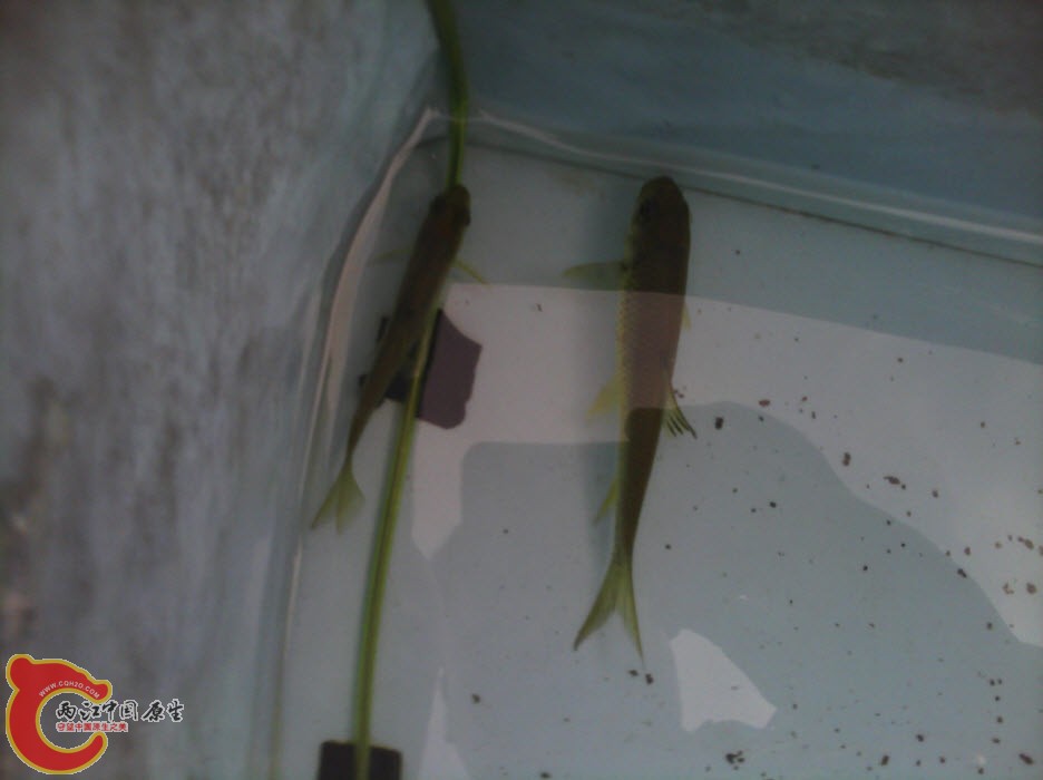 2013-10-20 21-23-32.jpg