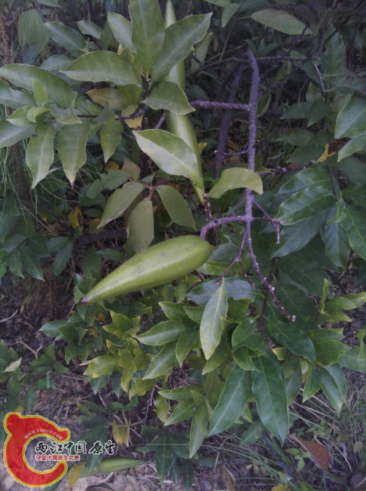 2013-10-20 21-23-52.jpg