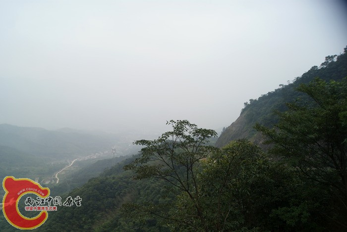 01.jpg