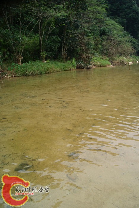05.jpg