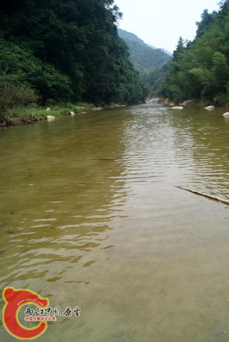 06.jpg