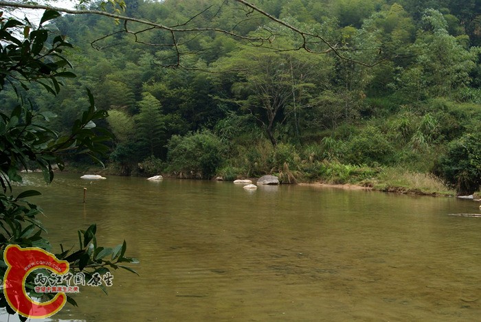 07.jpg