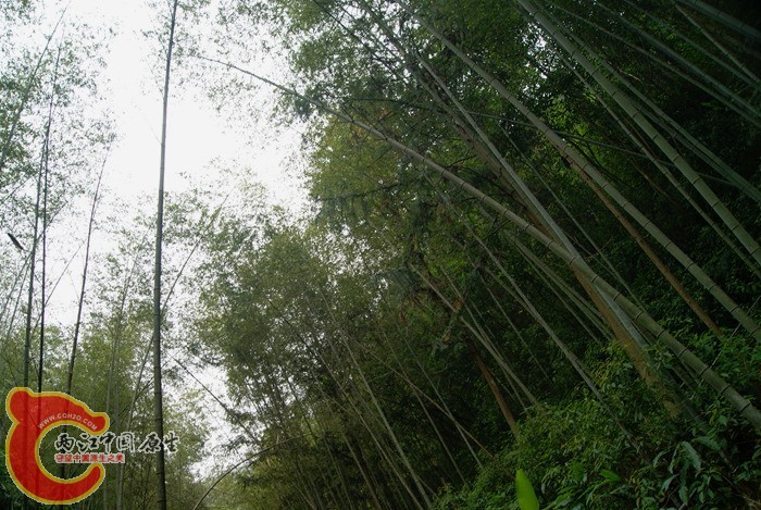 55.jpg