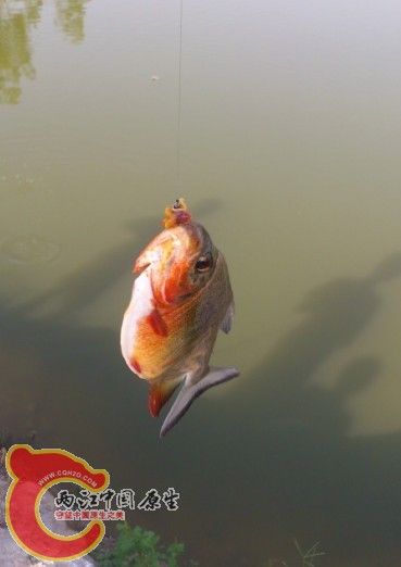 QQ图片20131027174358.jpg
