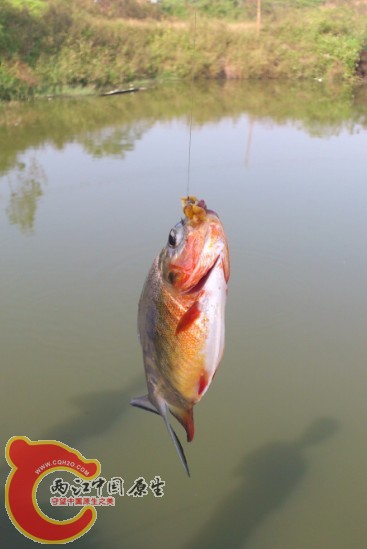 QQ图片20131027174418.jpg