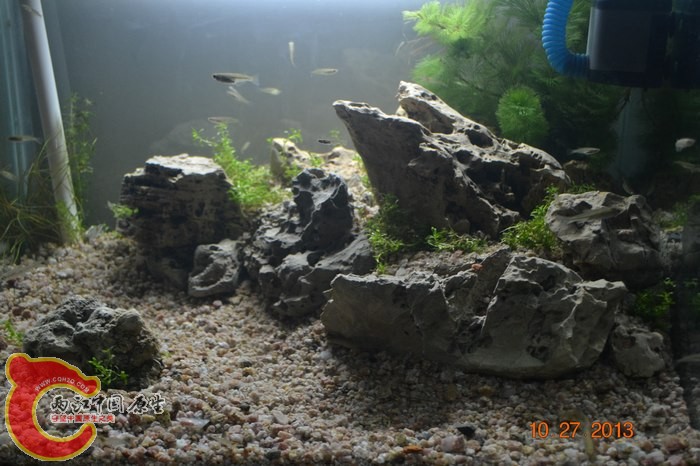 nEO_IMG_DSC_0693.jpg