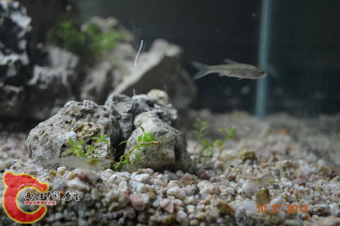 nEO_IMG_DSC_0689.jpg