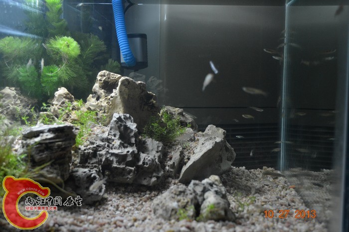 nEO_IMG_DSC_0690.jpg