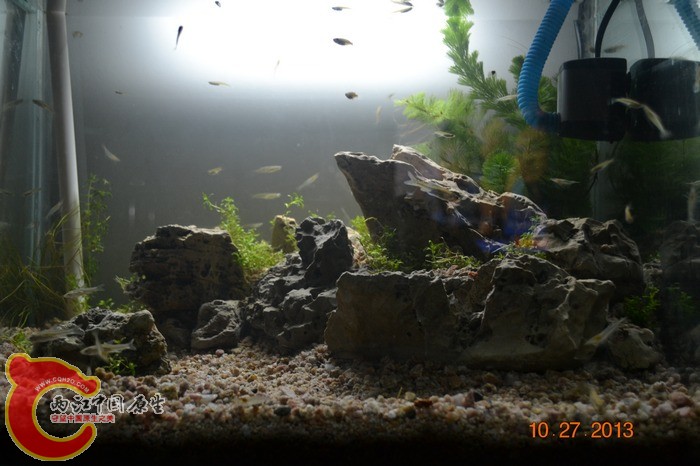 nEO_IMG_DSC_0692.jpg