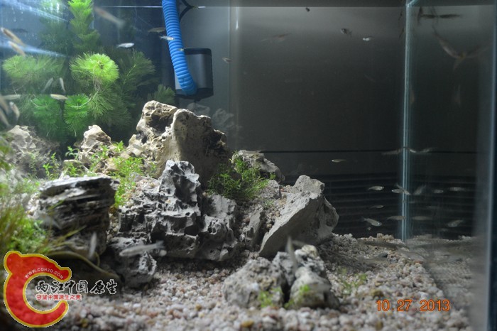 nEO_IMG_DSC_0691.jpg