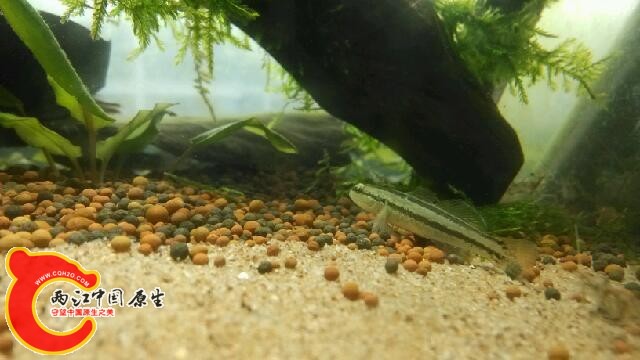 IMG_20130928_145317.jpg