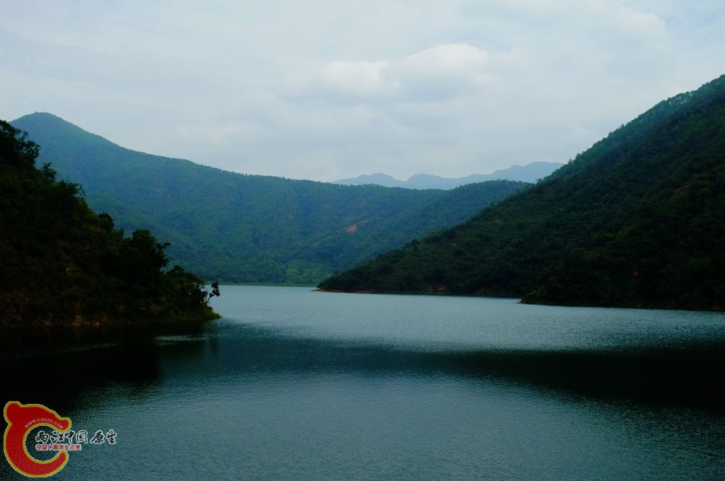 DSCF0833.jpg