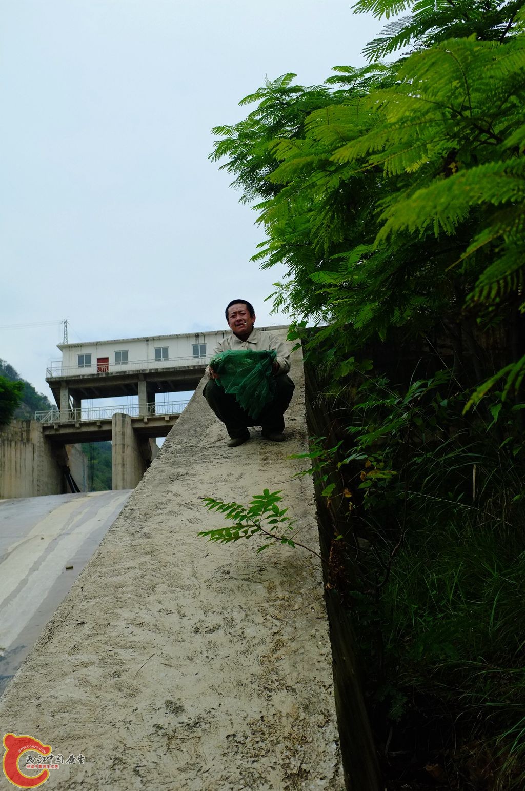 DSCF0840.jpg
