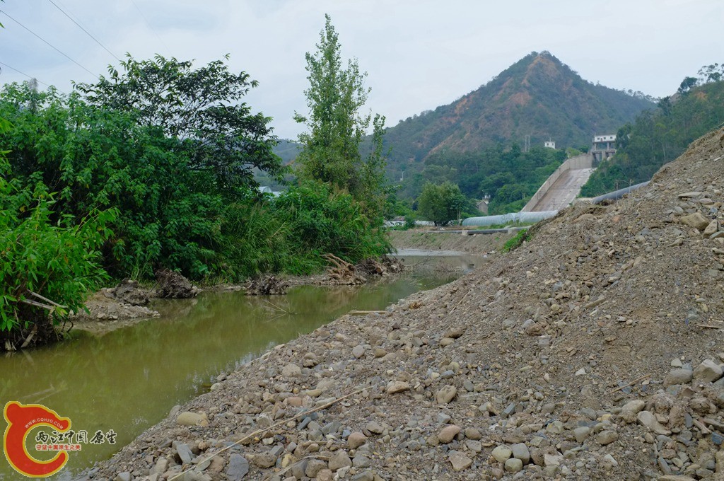 DSCF0848.jpg