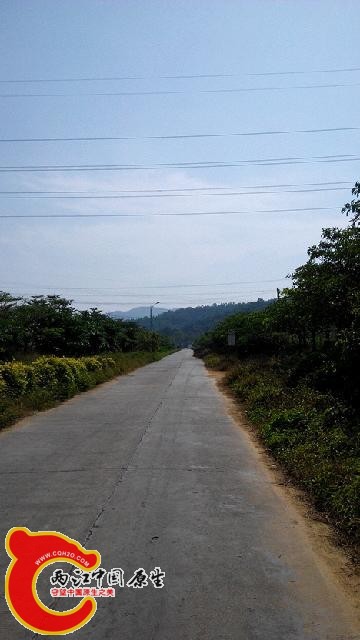 路上