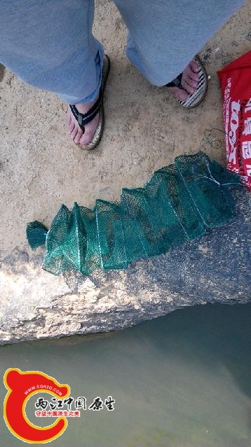 小虾笼