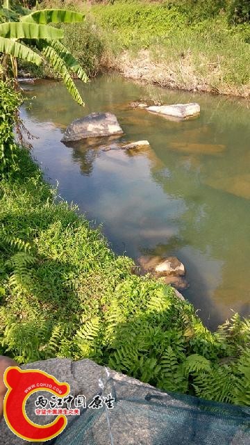 四处看风景