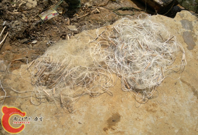作案工具二：这是上百米粘网的其中一部分