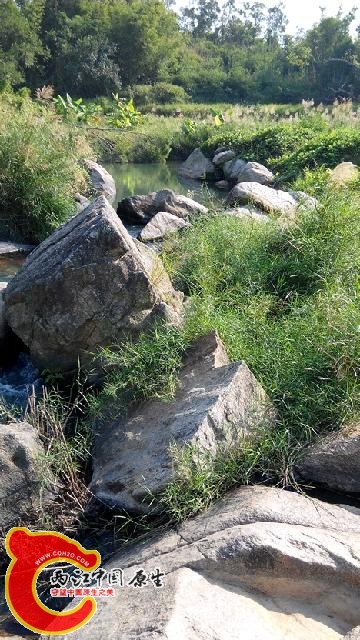 四处看风景