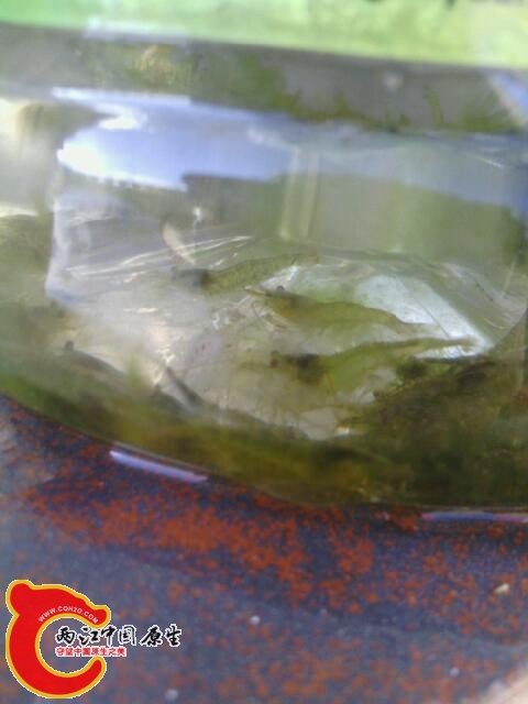 IMG_20131030_162745.jpg