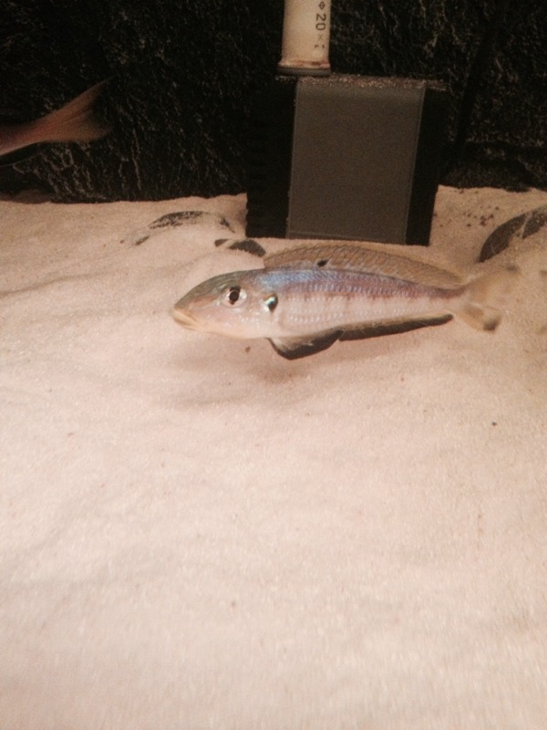 20131030103034_62844.jpg