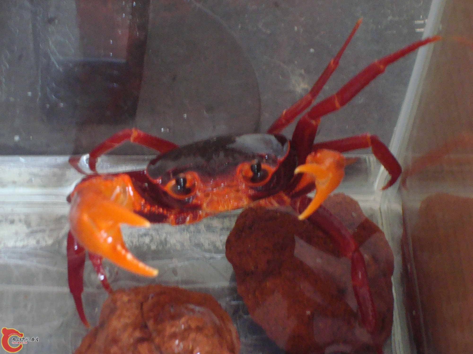 DSC05298a.JPG