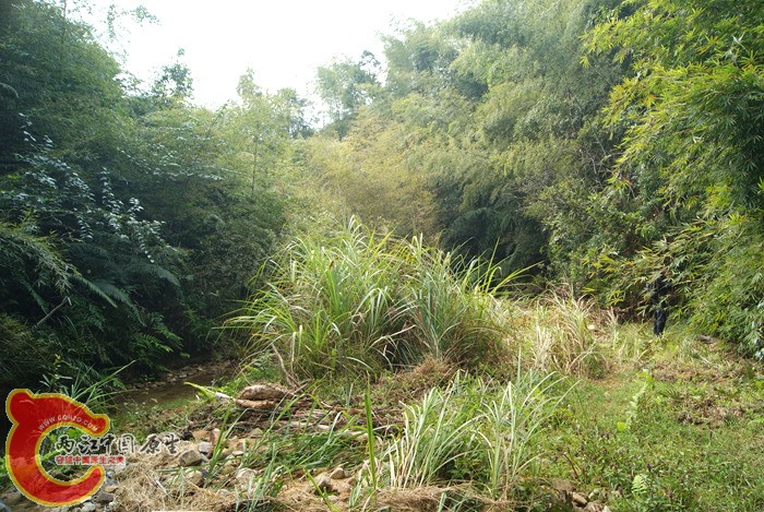 06.jpg
