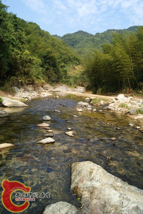 78.jpg