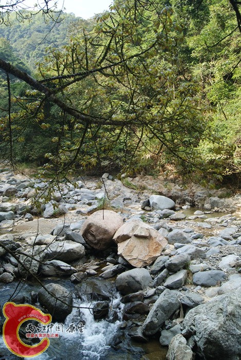 96.jpg