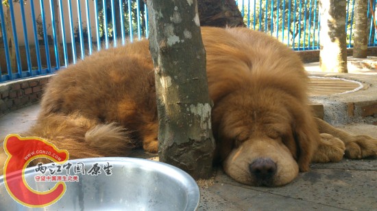 DSC_1049_编辑.jpg