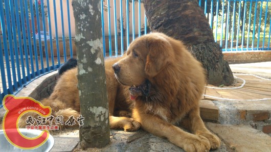 DSC_1052_编辑.jpg