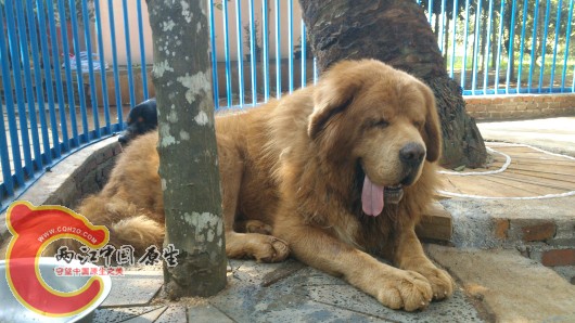 DSC_1053_编辑.jpg