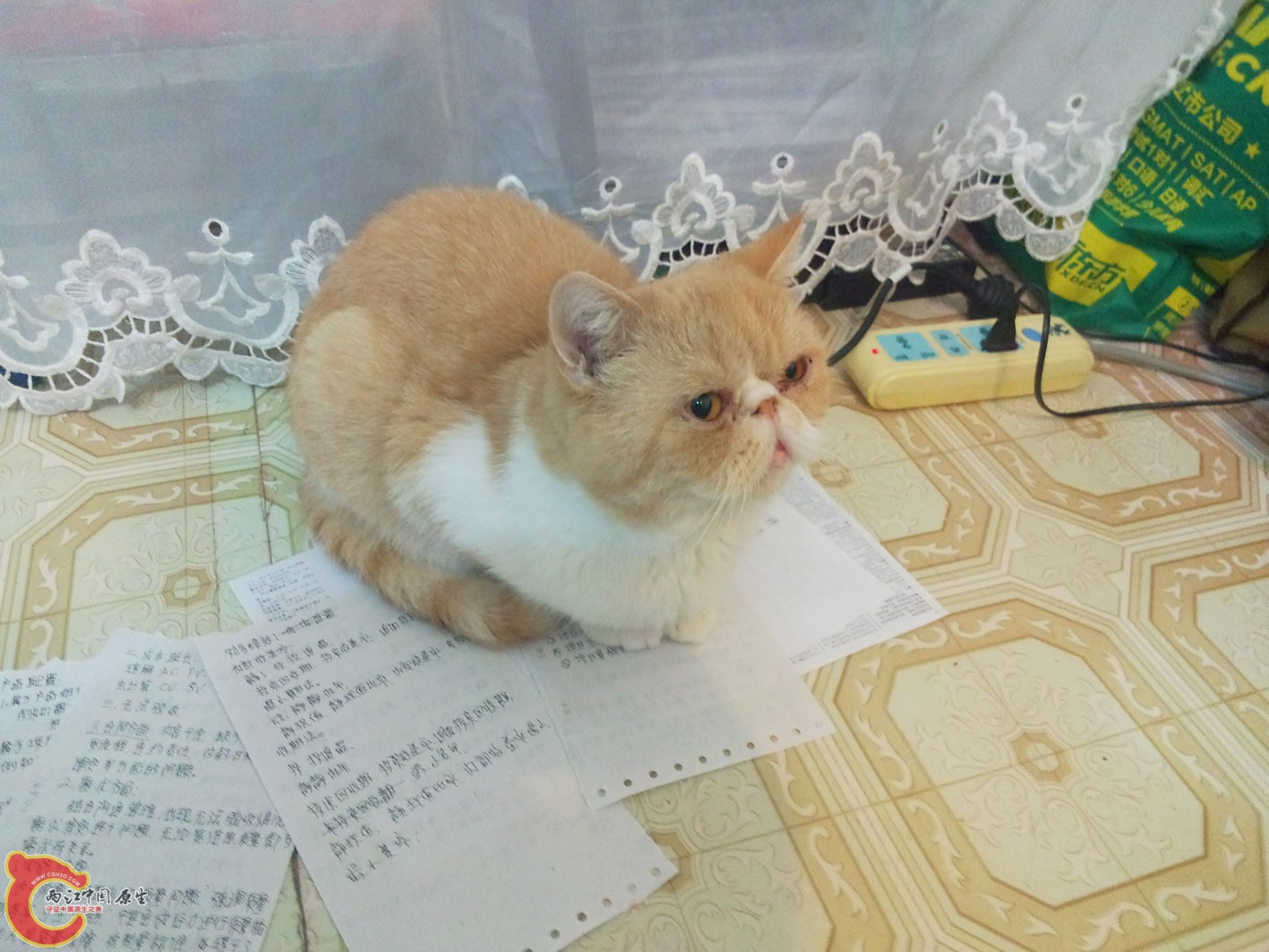 训斥后，在思过中。