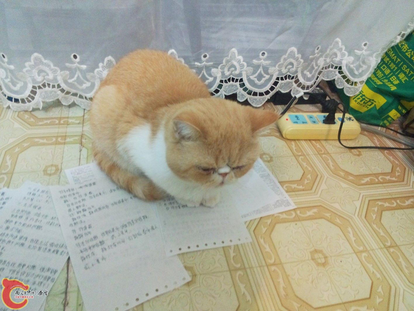训斥后，在思过中。