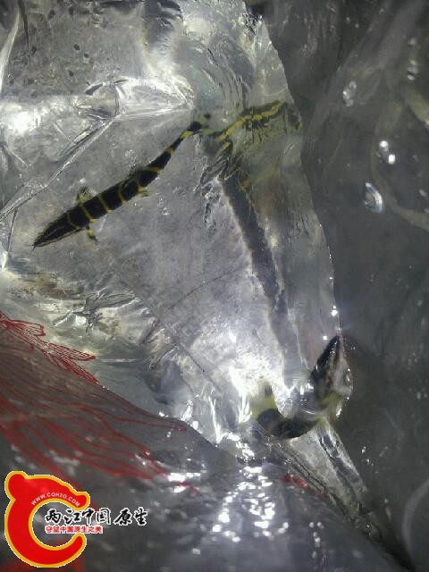 C360_2013-11-02-19-22-02-619.jpg