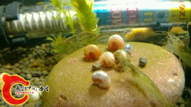 IMG_20131103_161207.jpg