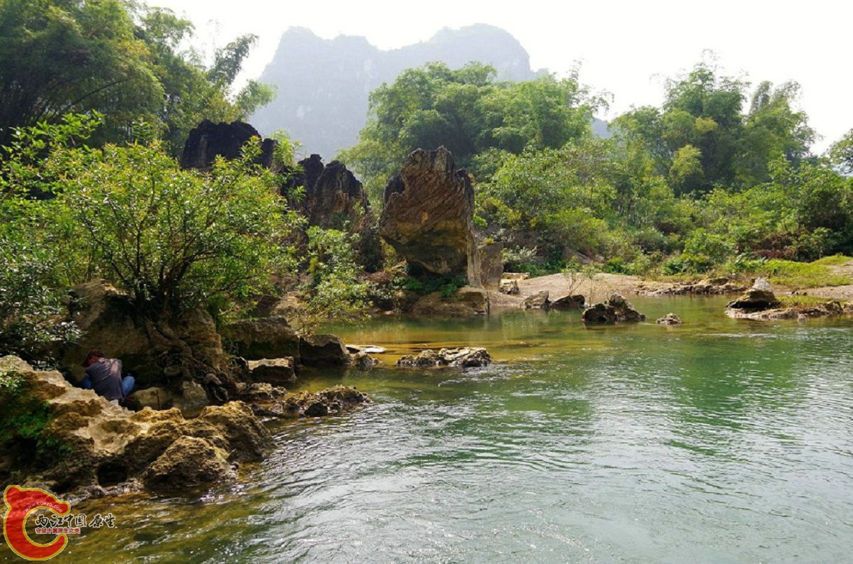 IMGP1384.jpg