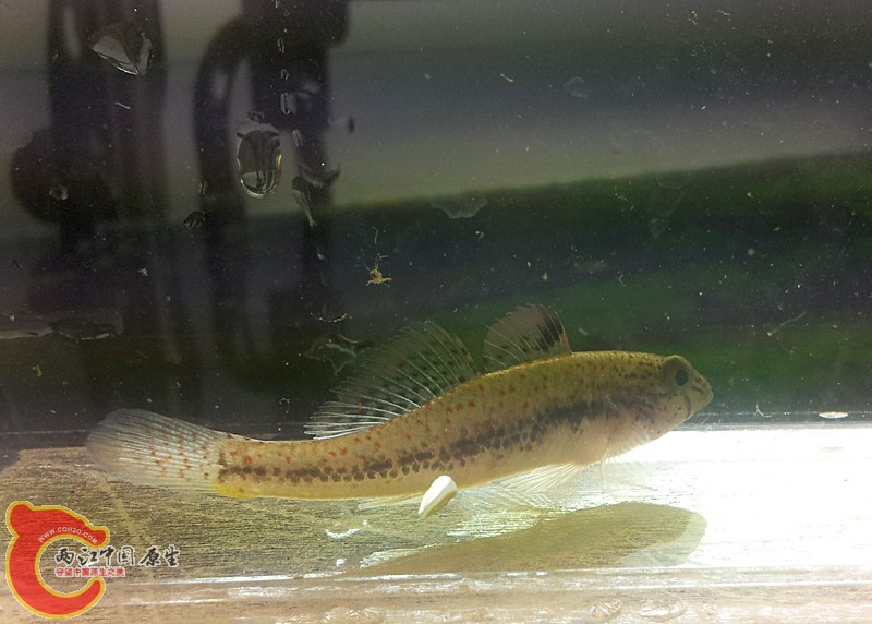 20131103_161518.jpg